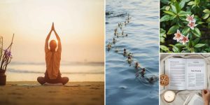 goa-wellness- 2025-xploregoa