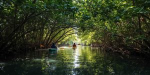 adventure-tourism-in-goa-xploregoa