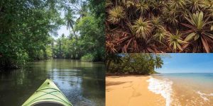 south-goa-experiences-xploregoa