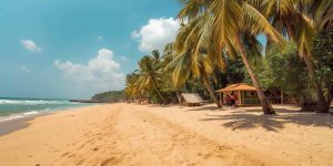 Goa in November 2025-xploregoa